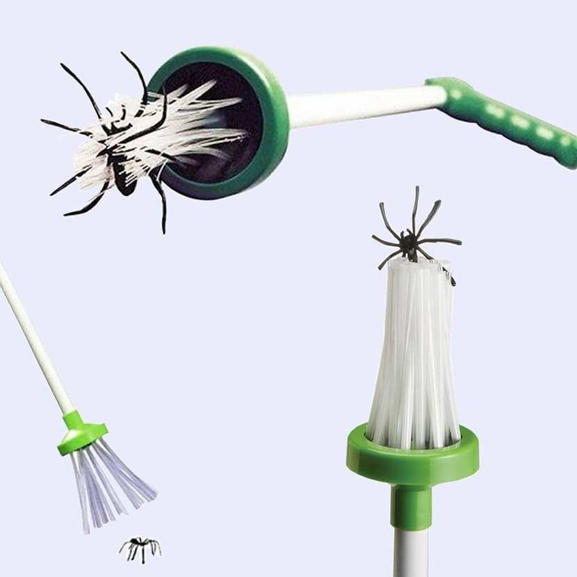 Spider Catcher : L'attrape-araignée ultime pour une maison sans insectes -  MyCrazyStuff - 13,46 €